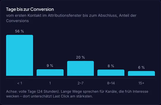 Ausschnitt mit Beispieldaten: Verteilung der Tage bis zur Conversion